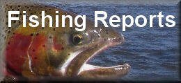 Wyoming fishing reports